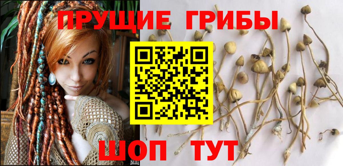 Галлюциногенные грибы ЛСД  Вход с VPN  Родники 