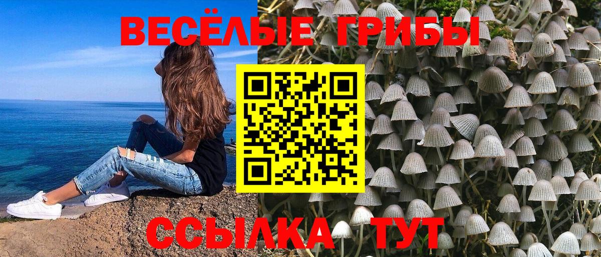 Псилоцибиновые грибы прущие грибы Родники